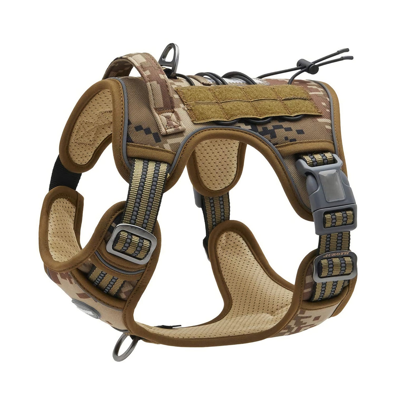 Dog wearing elurp harness