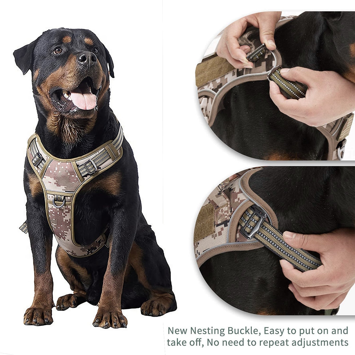 Adventure dog harness