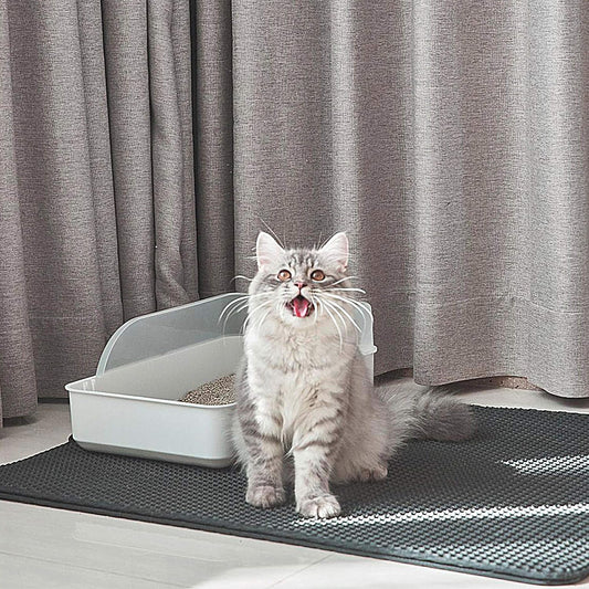 Cat Litter Trapping Mat — CJ product photo
