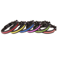 LED Dog Collar — CJ product photo