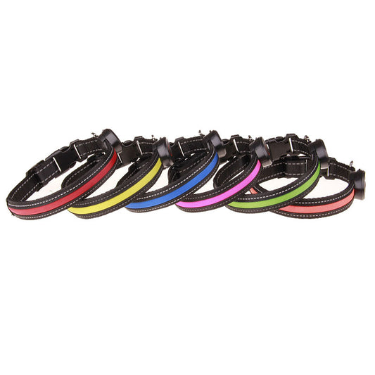 LED Dog Collar — CJ product photo