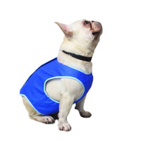 Evaporative Dog Cooling Vest — CJ product photo