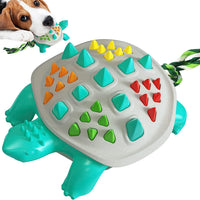 Dog Toothbrush Chew Toy