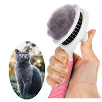 Self-Cleaning Slicker Brush for Dogs & Cats
